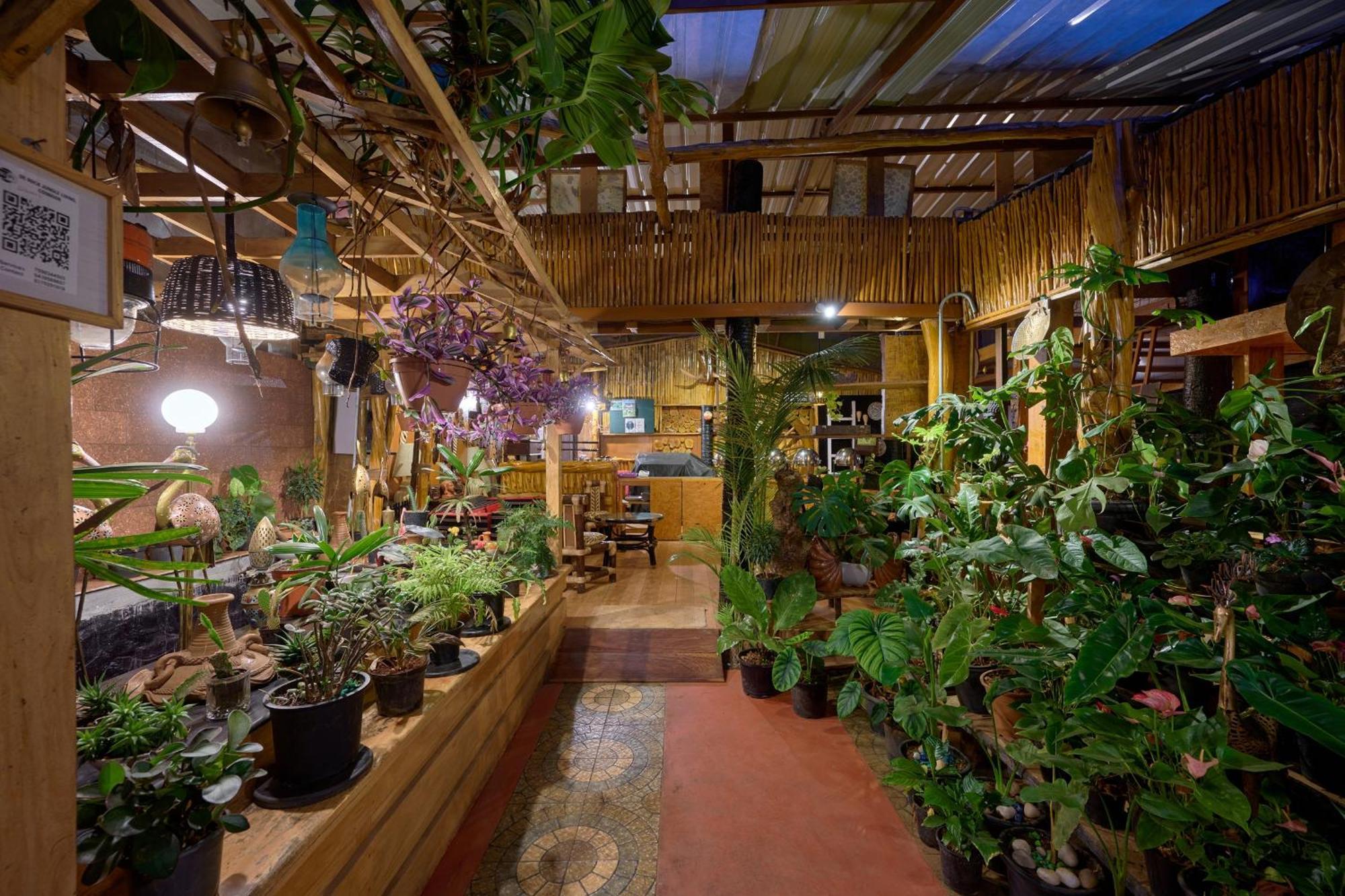 De Rock Jungle Living Resort 쿠누르 외부 사진